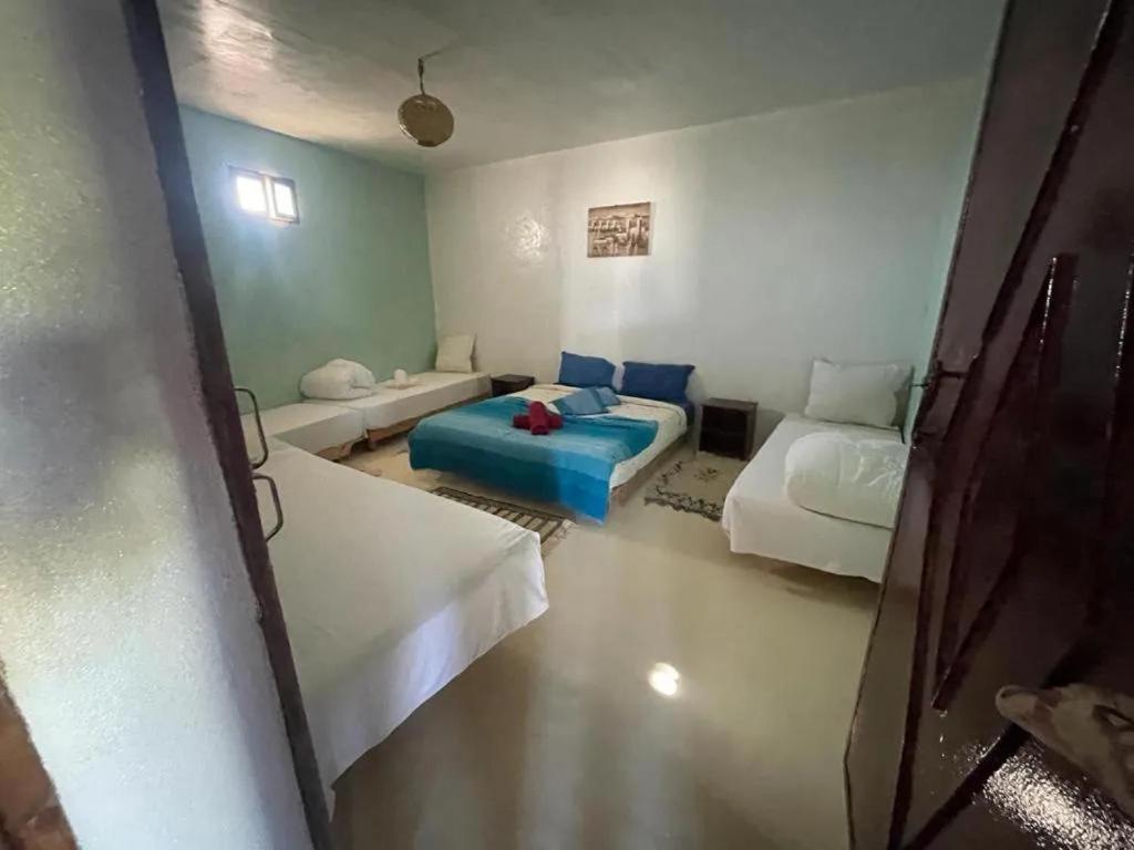 Les Jardins D Amizmiz 6 Piscines Bed & Breakfast Wawizelte ภายนอก รูปภาพ